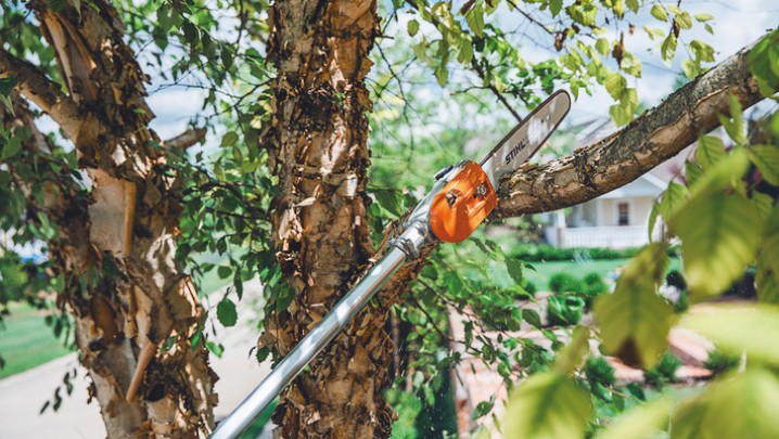 INSTRUTOR MOTOPODA MASTER 80 HORAS